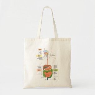 Diagram Human Gastrointestinal Digestive system  Tote Bag