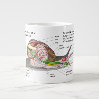 Diagram of a Common Garden Snail (Helix aspersa) Large Coffee Mug