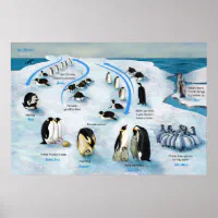 Rounds: Parker Penguin main image 0