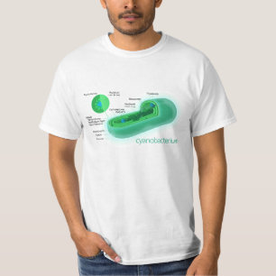 Diagram of a Typical Cyanobacteria Cell T-Shirt