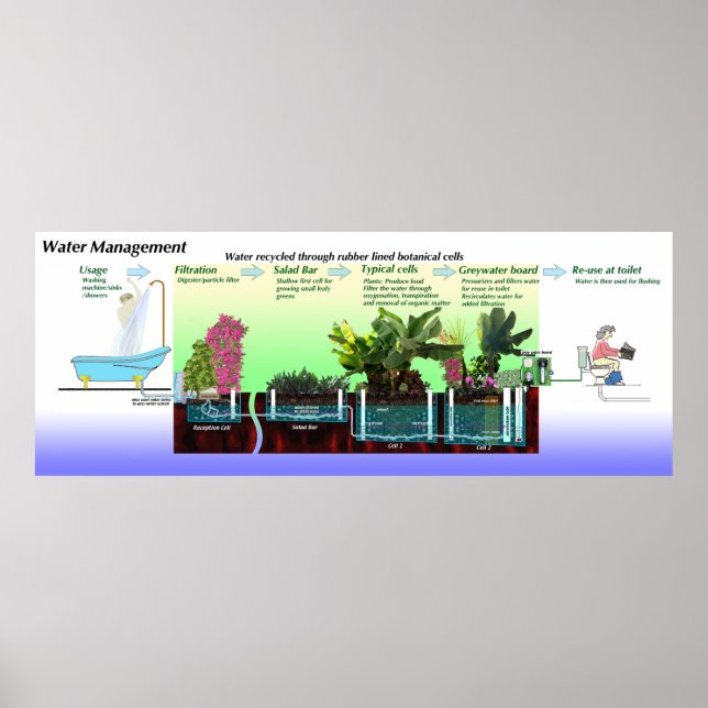 Diagram of Greywater Processing Poster (Front)
