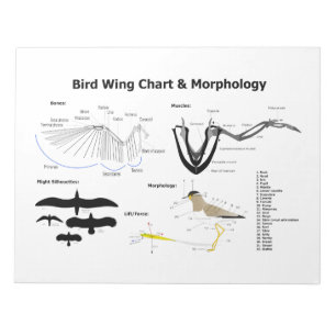 Diagram of the Anatomy of Bird Wings Notepad