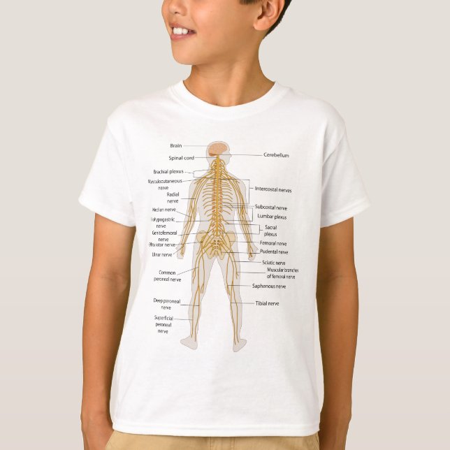 Diagram of the Human Body's Nervous System T-Shirt (Front)