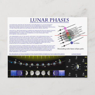 Diagram of the Lunar Phases of Earth's Moon Postcard