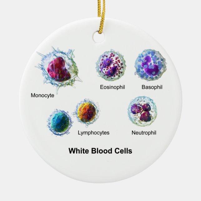 Diagram of White Blood Cells Leukocytes Ceramic Tree Decoration (Front)