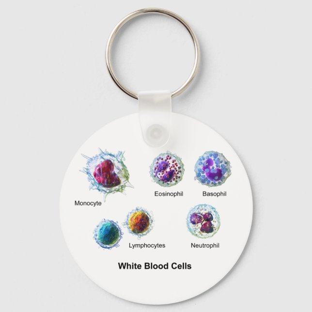 Diagram of White Blood Cells Leukocytes Key Ring (Front)