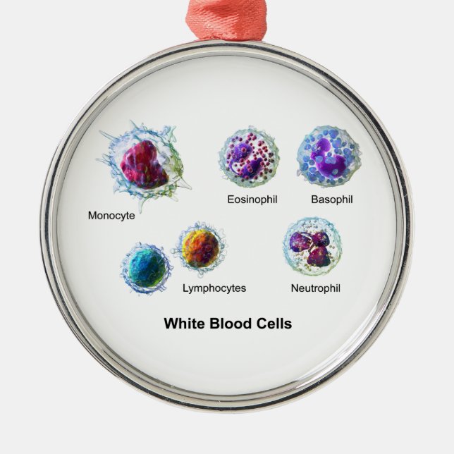 Diagram of White Blood Cells Leukocytes Metal Tree Decoration (Front)