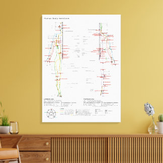  Diagram Schematic Chinese Meridians Human Body  Canvas Print