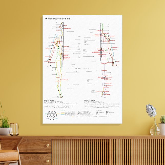  Diagram Schematic Chinese Meridians Human Body  Canvas Print (Insitu(LivingRoom))