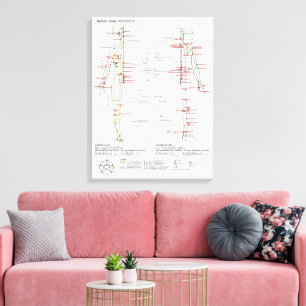  Diagram Schematic Chinese Meridians Human Body  Canvas Print