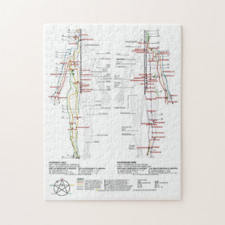  Diagram Schematic Chinese Meridians Human Body  Jigsaw Puzzle