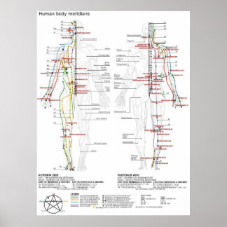  Diagram Schematic Chinese Meridians Human Body  Poster