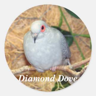 DIAMOND DOVE CLASSIC ROUND STICKER