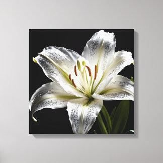 Diamond Dust Lily Canvas Print
