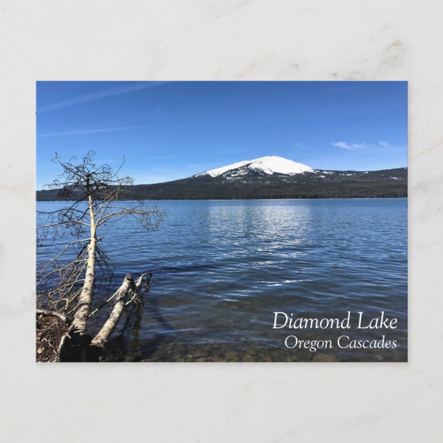 Diamond Lake, Oregon Postcard (Front)