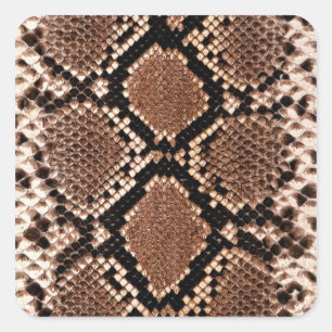 Diamond Rattlesnake Snake Skin Square Sticker