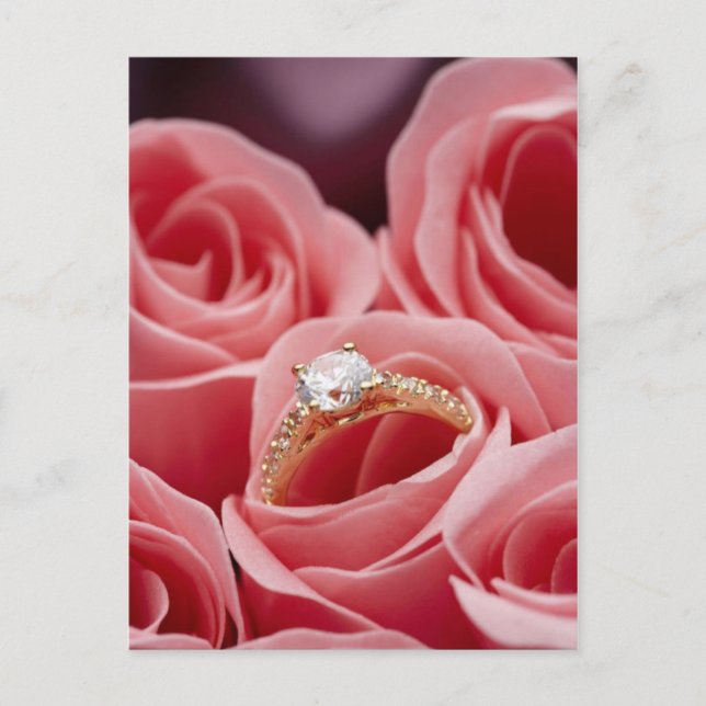Diamond Ring Roses Postcard (Front)