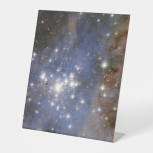 Diamond Stars in Carina Nebula Hubble Space Pedestal Sign