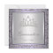 Diamond Tiara Purple Quinceanera