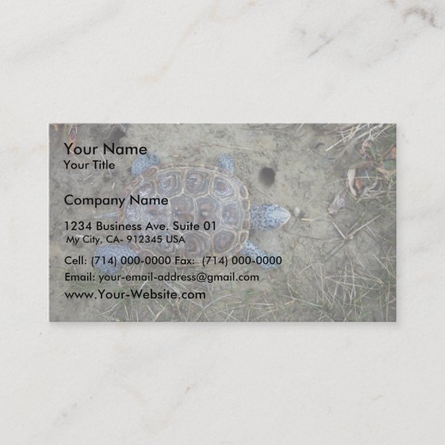 Diamondback Terrapin Business Card (Front)