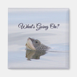 Diamondback Terrapin Turtle Face Magnet