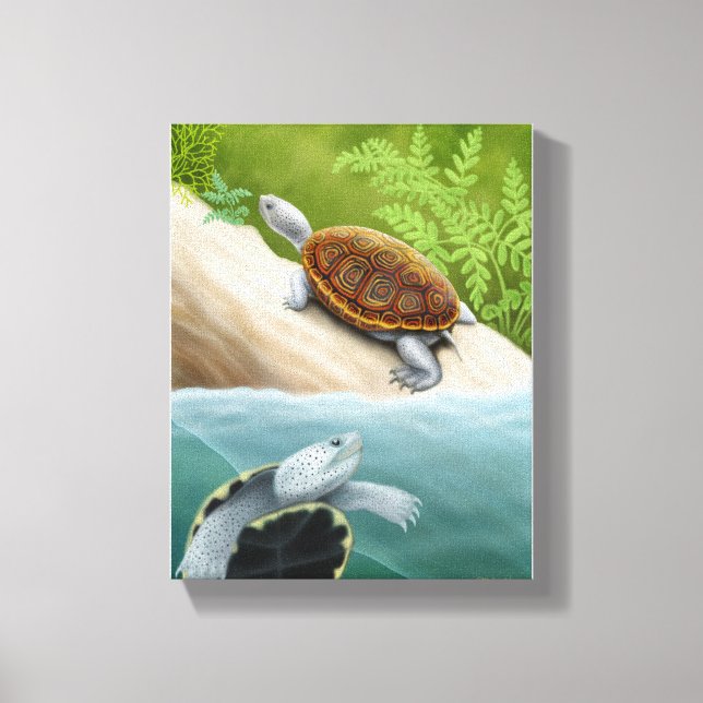 Diamondback Terrapin Turtles Wrapped Canvas (Front)