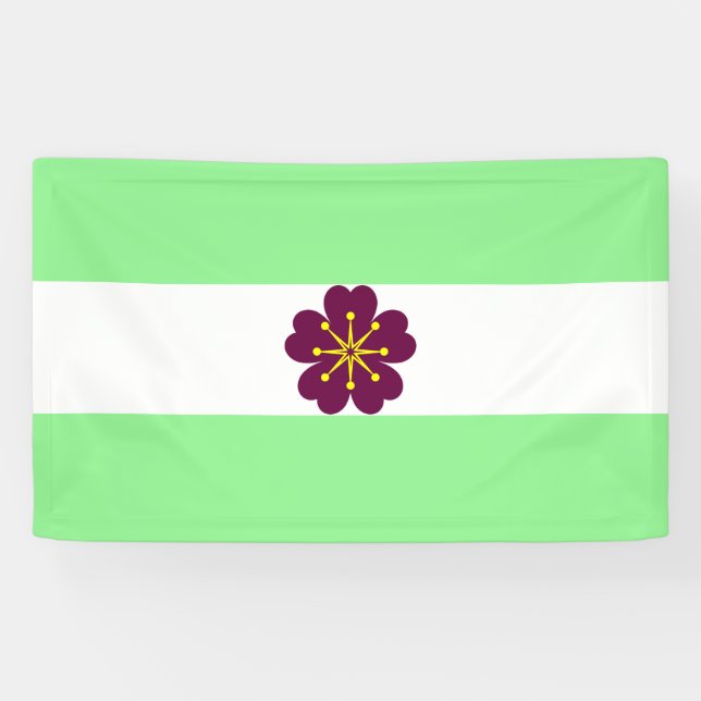 Diamoric Pride Banner (Horizontal)