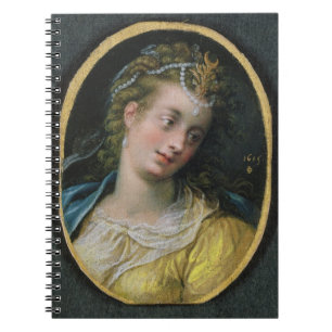 Diana, 1615 spiral notebook
