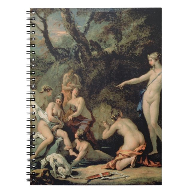 Diana and Callisto Notebook (Front)