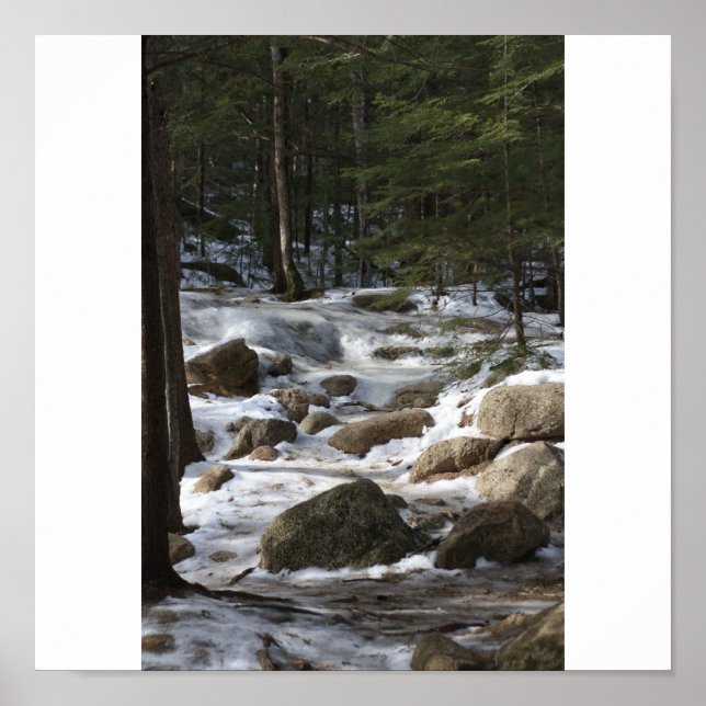 Diana's Baths Poster (Front)