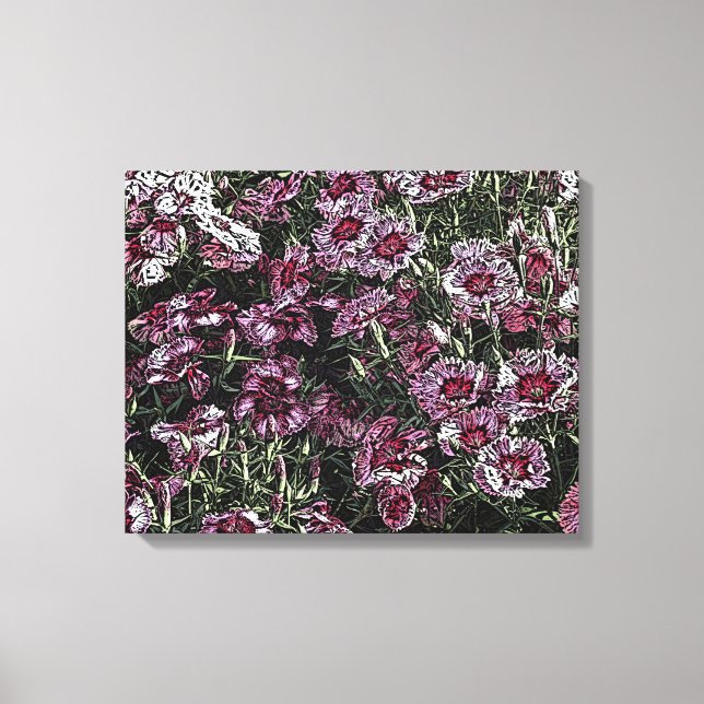 DIANTHUS CANVAS PRINT (Front)