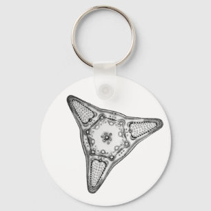 Diatom Key Ring
