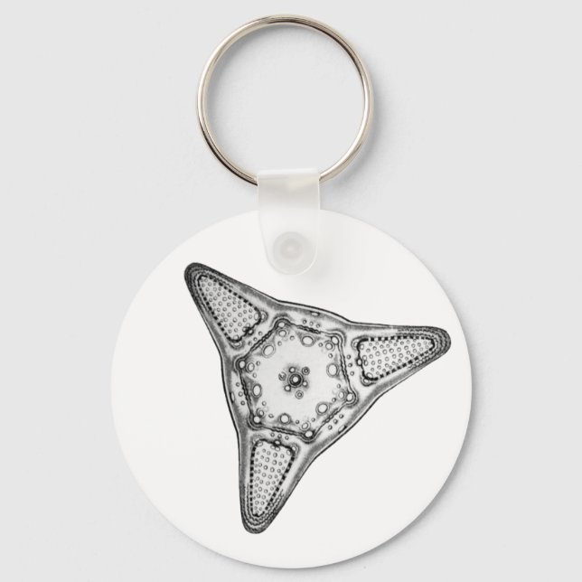 Diatom Key Ring (Front)