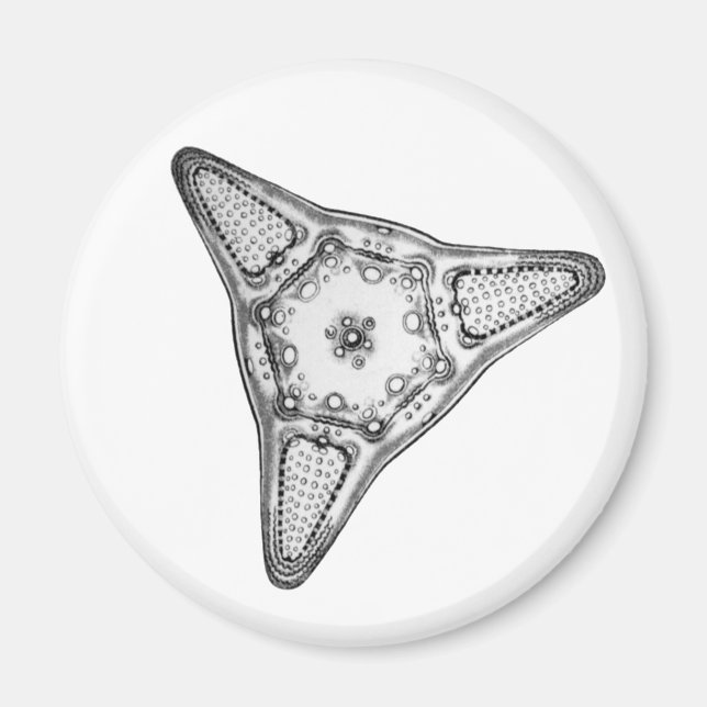 Diatom Magnet (Front)
