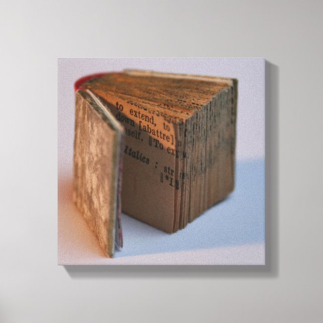 DicofrAngle English-French Miniature Book poster Canvas Print (Front)
