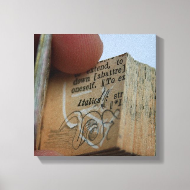 DicofrAngle Miniature Book cut down Drawing Canvas Print (Front)