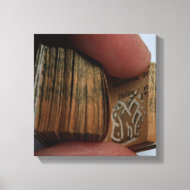 DicofrAngle Miniature Book untitled Drawing Canvas Print (Front)