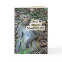 Did I forget Something