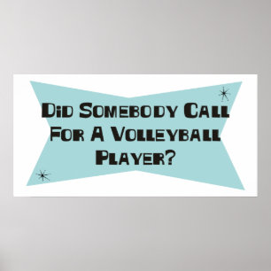 Did Somebody Call For A Volleyball Player Poster