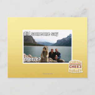Did someone say cheeze? postcard