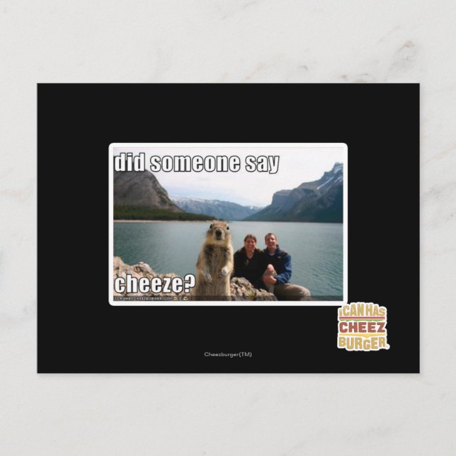 Did someone say cheeze? postcard (Front)