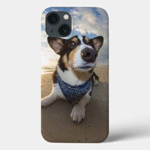 Did Someone Say Cookie? iPhone 13 Case