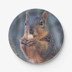 Did you bring coffee? paper plate