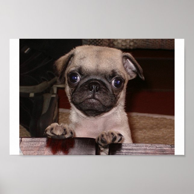 did you call? poster (Front)