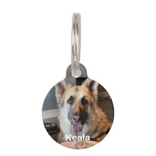 Did you get yourself anything? pet tag