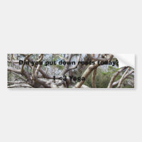 Did you put down roots today?