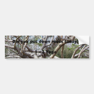 Did you put down roots today? bumper sticker