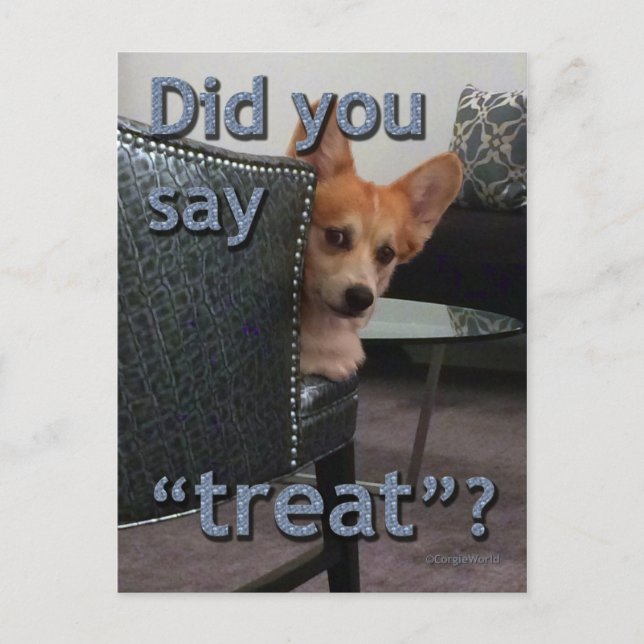 "Did you say 'treat'?" Corgi Card (Front)