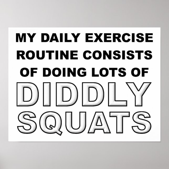 Diddly Squats Funny Poster (Front)