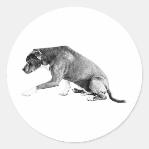 Die-Cut Pawshake—Pitbull Mix Classic Round Sticker